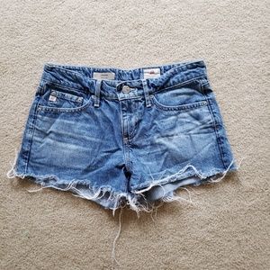 AG Adriano Goldschmied Bonnie Relax Shorts Sz 24